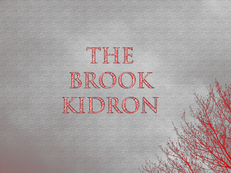 OurStage | The Brook Kidron : EPK